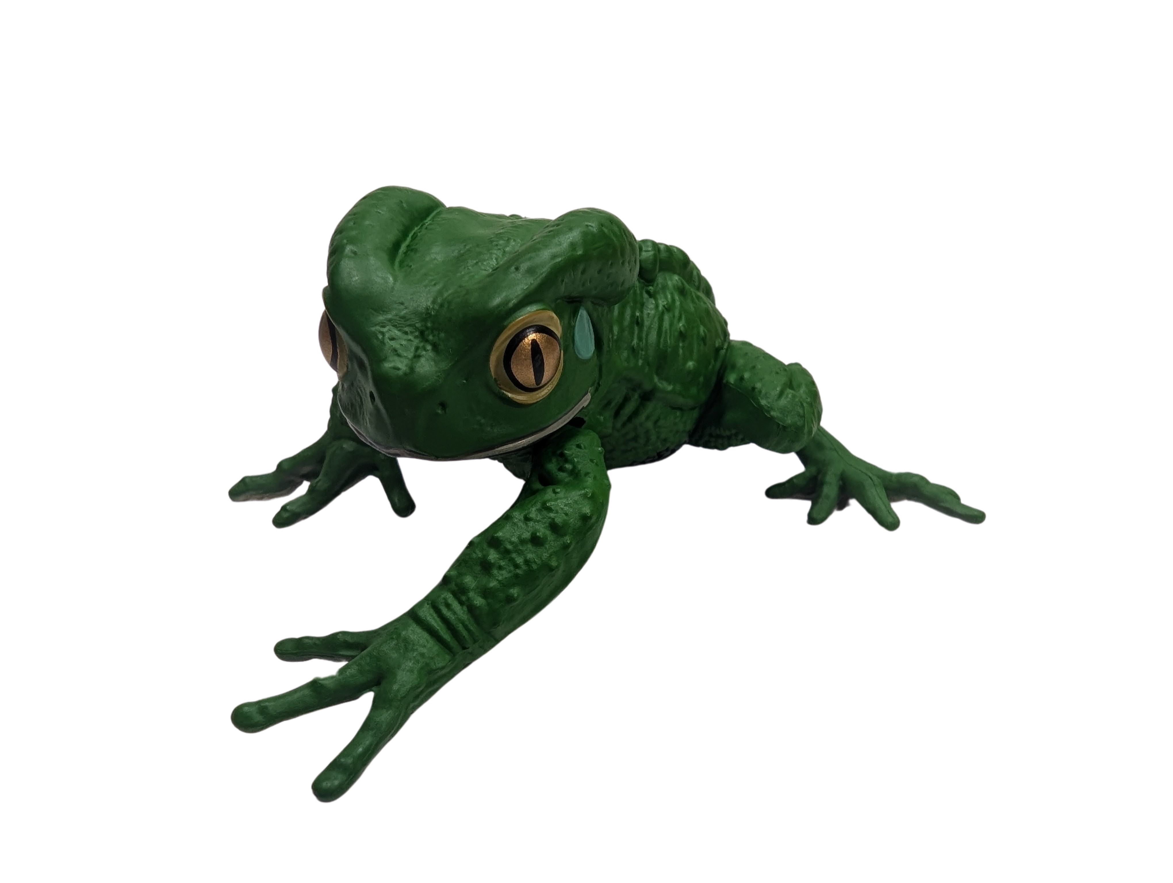Sauvage Cat Megael Frog