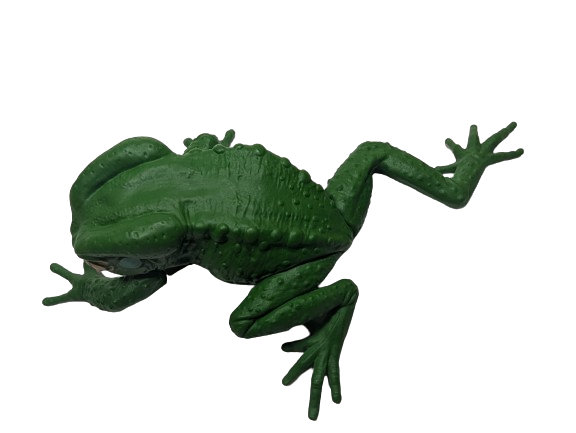 Sauvage Cat Megael Frog