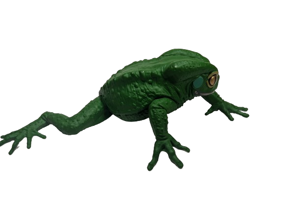 Sauvage Cat Megael Frog