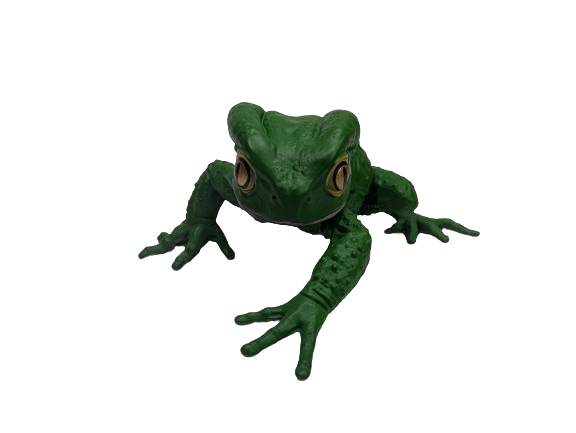 Sauvage Cat Megael Frog
