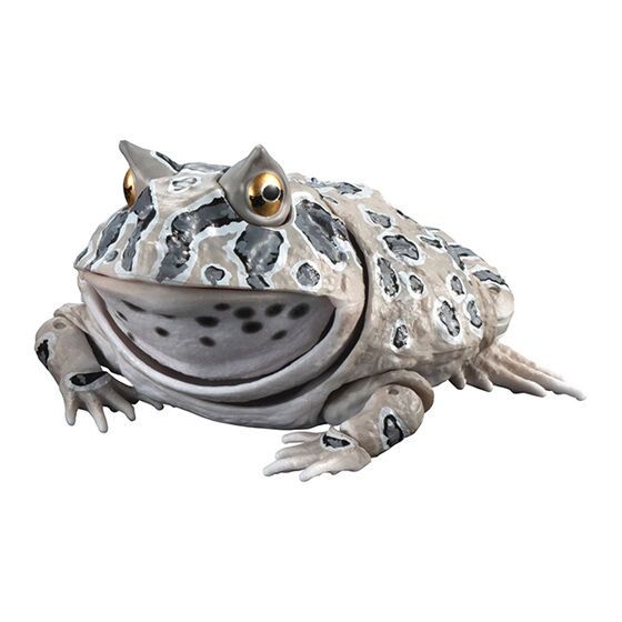 Premium Horned Frog