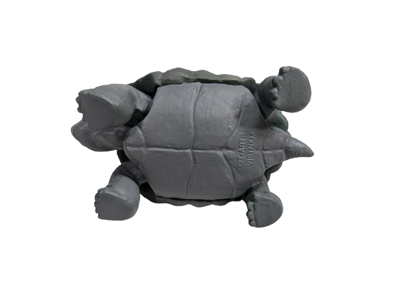 Turtle