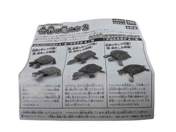 Turtle