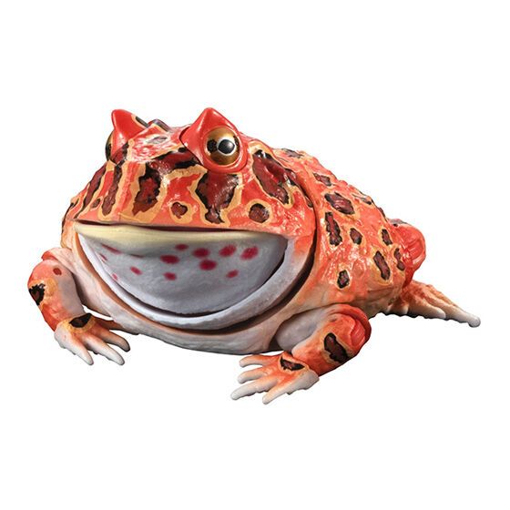 Premium Horned Frog