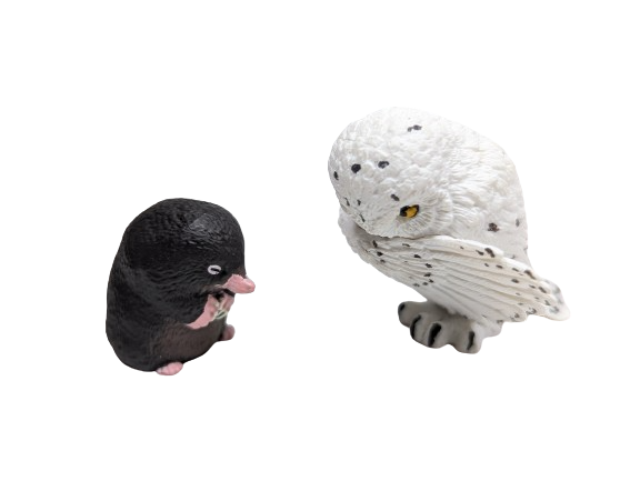Bowing Animals