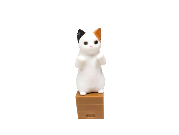 Cat with photo stand-in boards