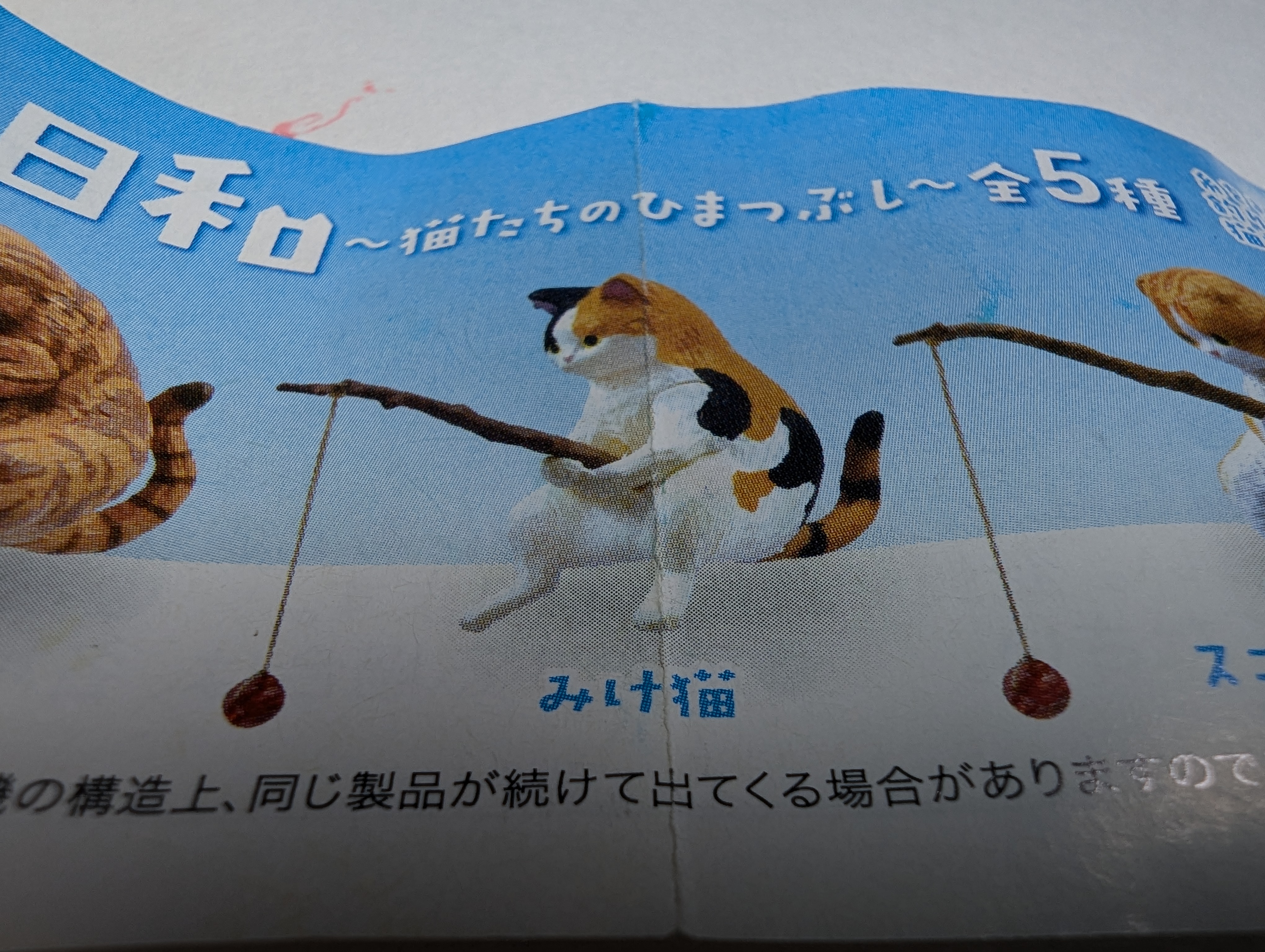 Fishing Cat