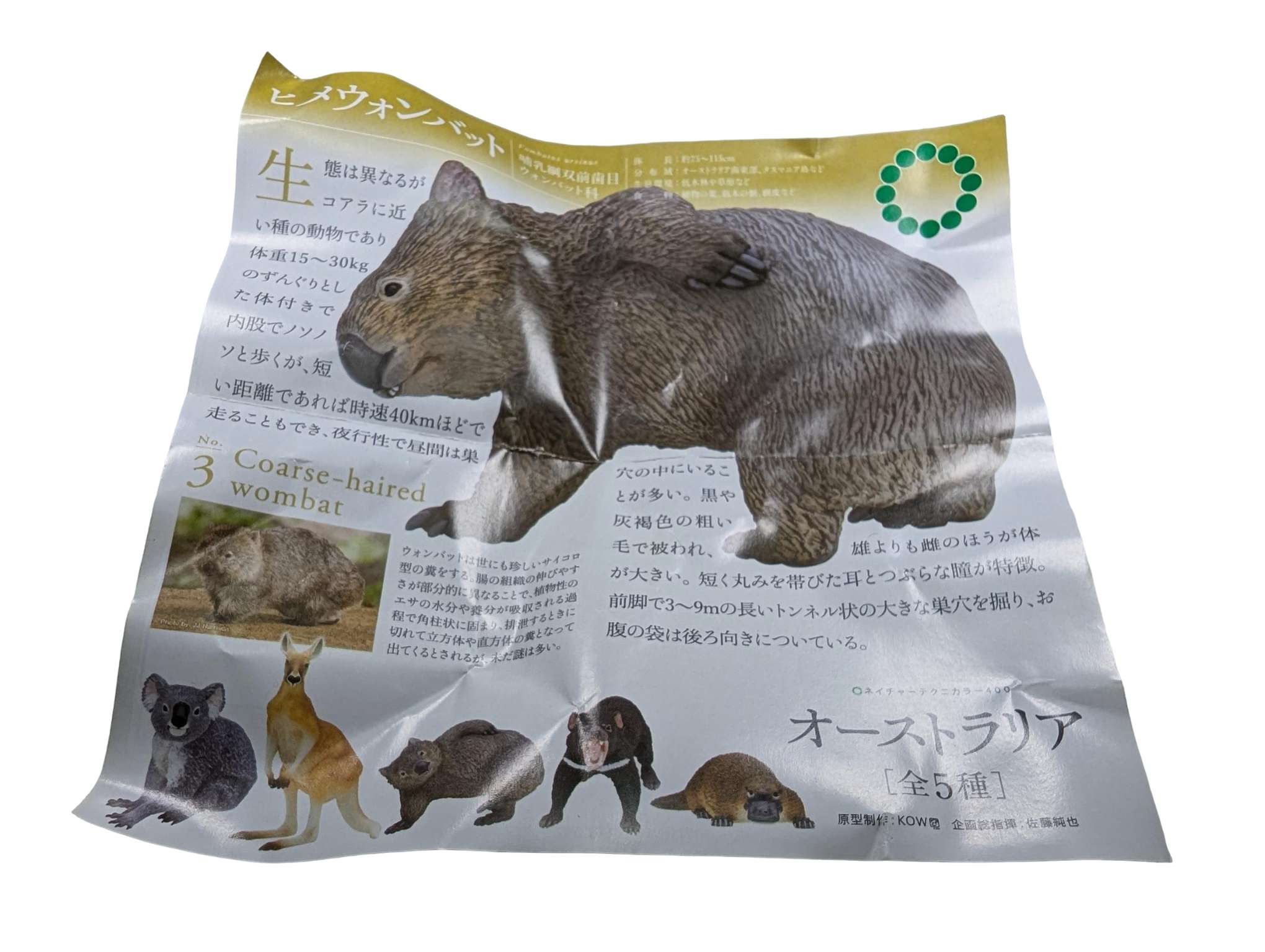 Wombat Figure
