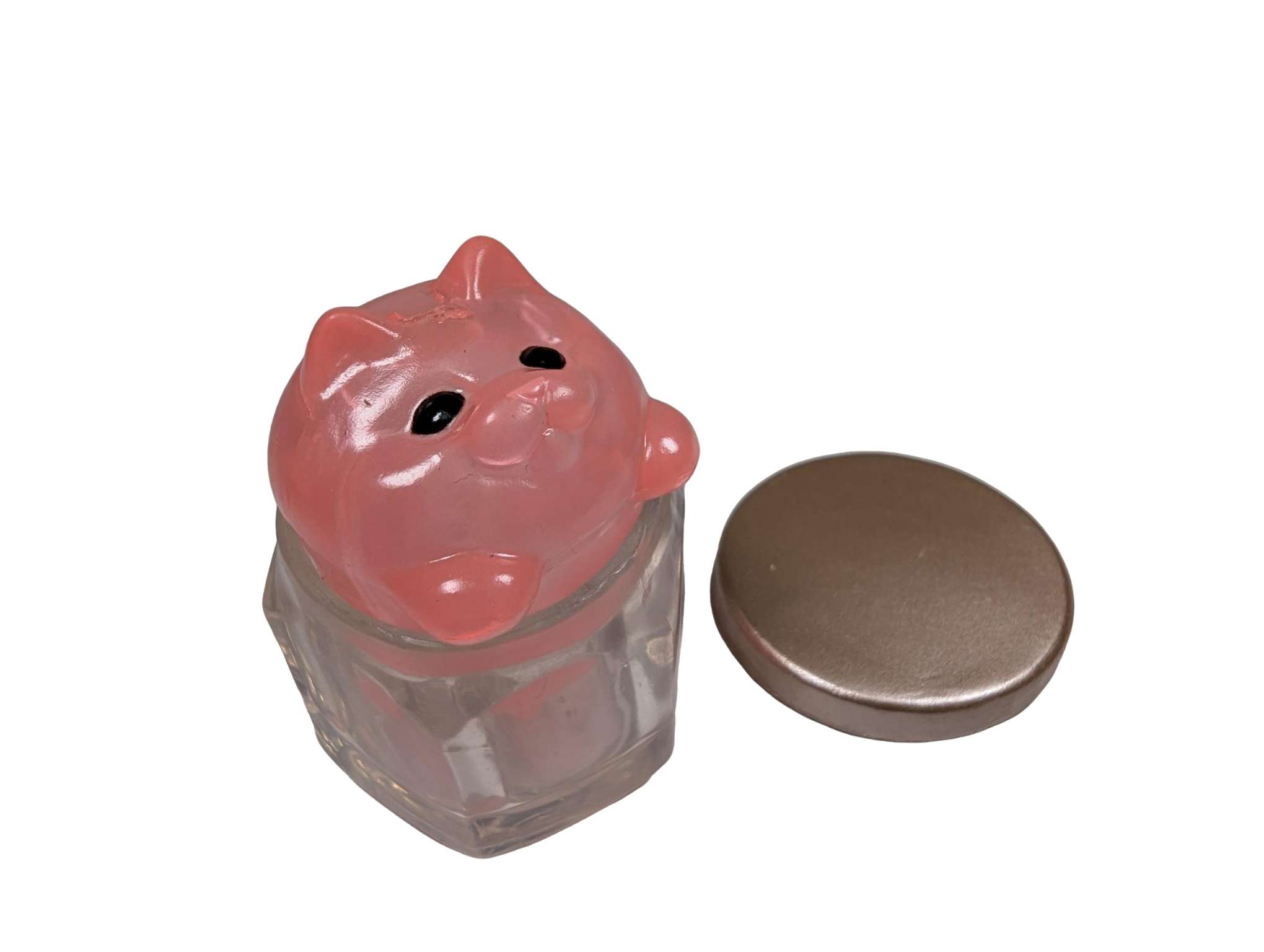 Pink Jam Cat