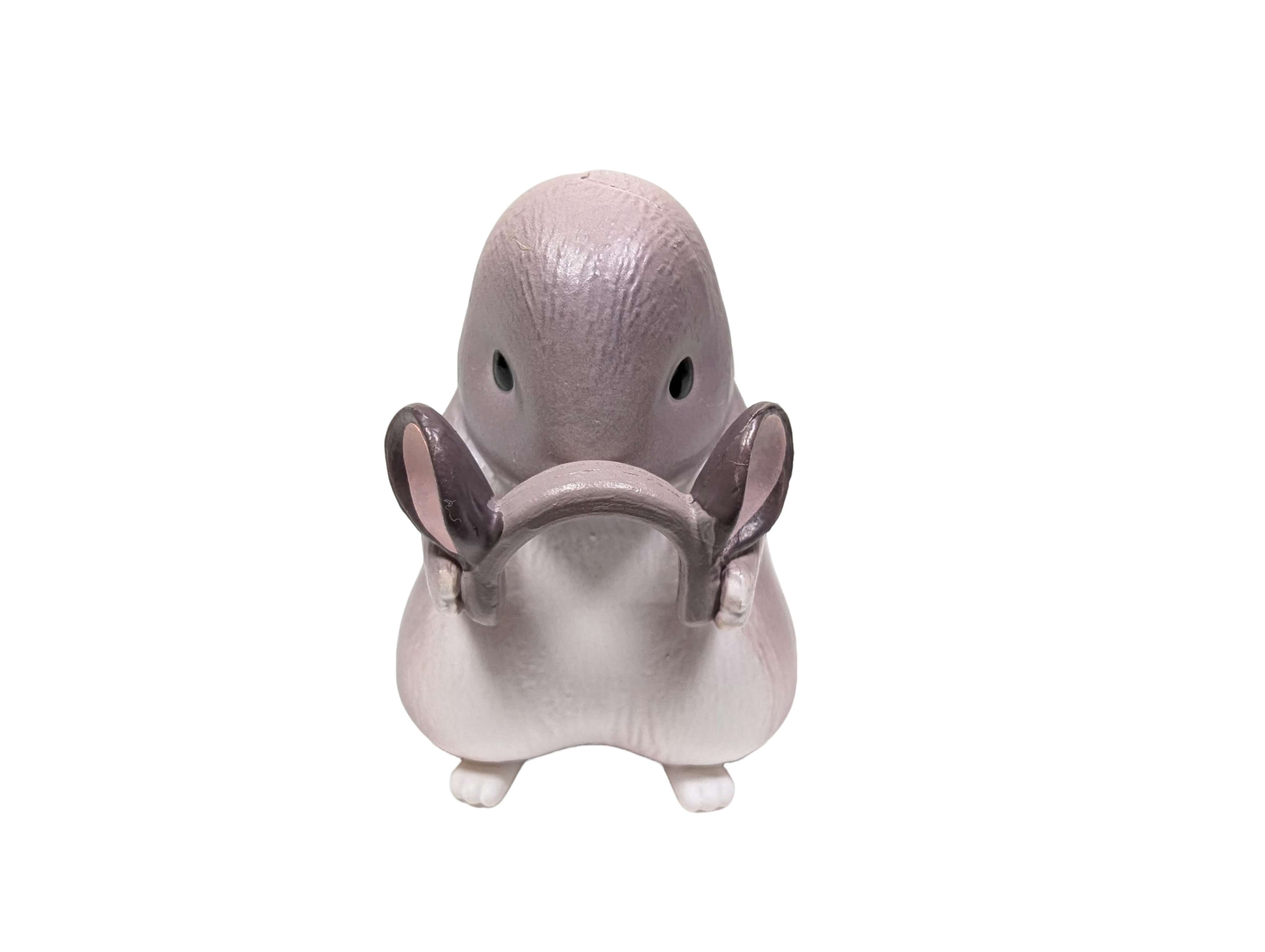 Chinchilla holding ears figure