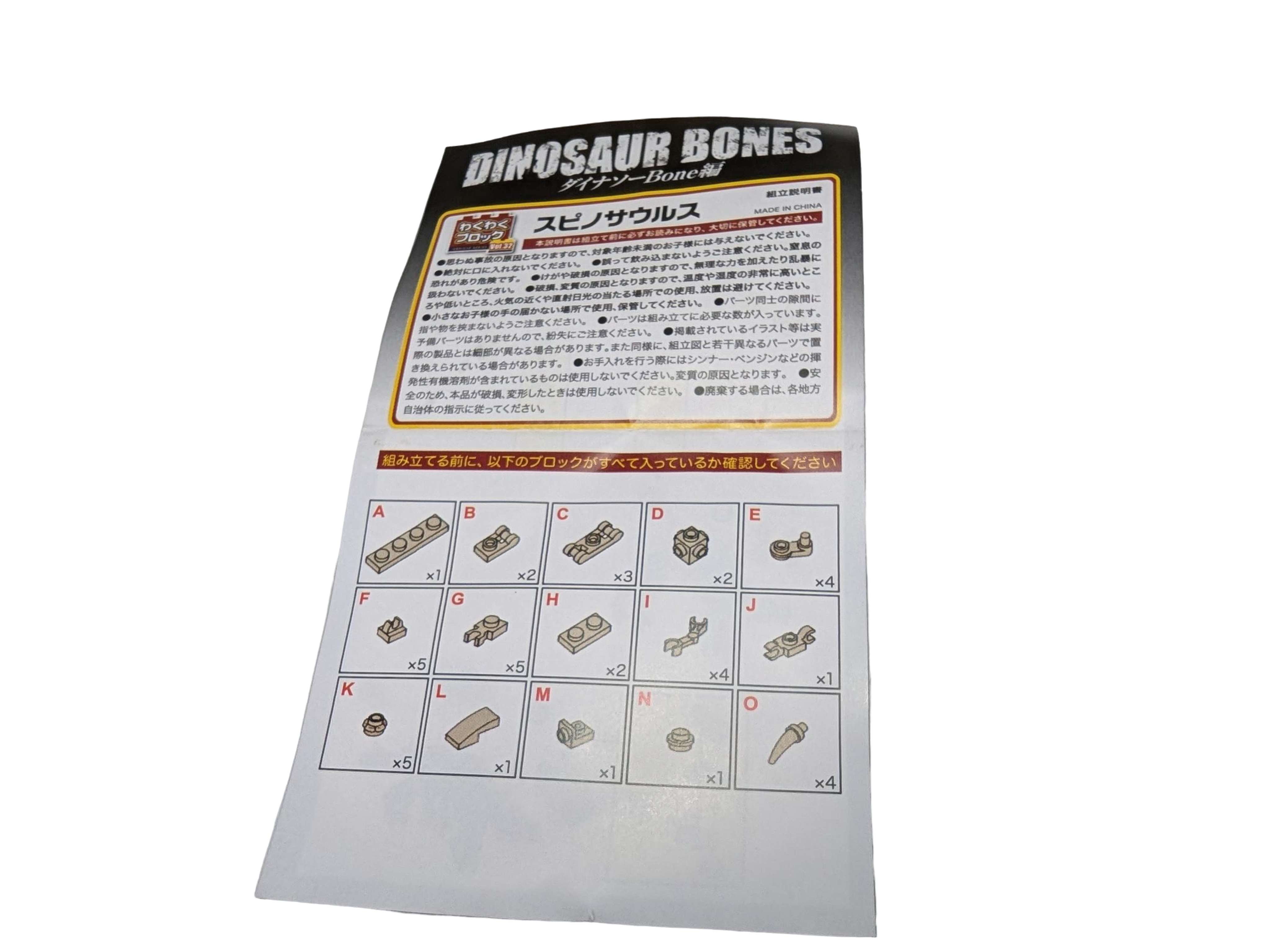 Dinosaur Bones