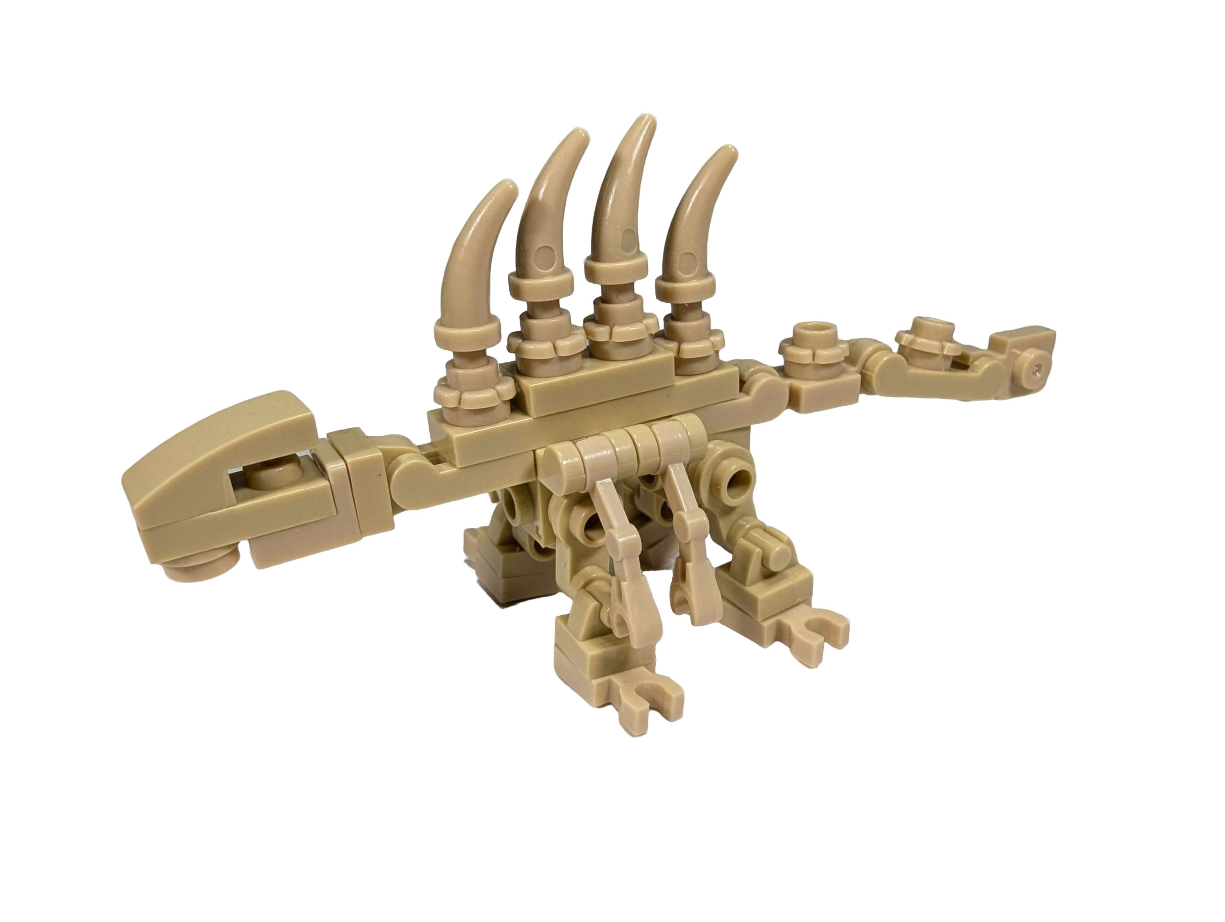 Dinosaur Bones