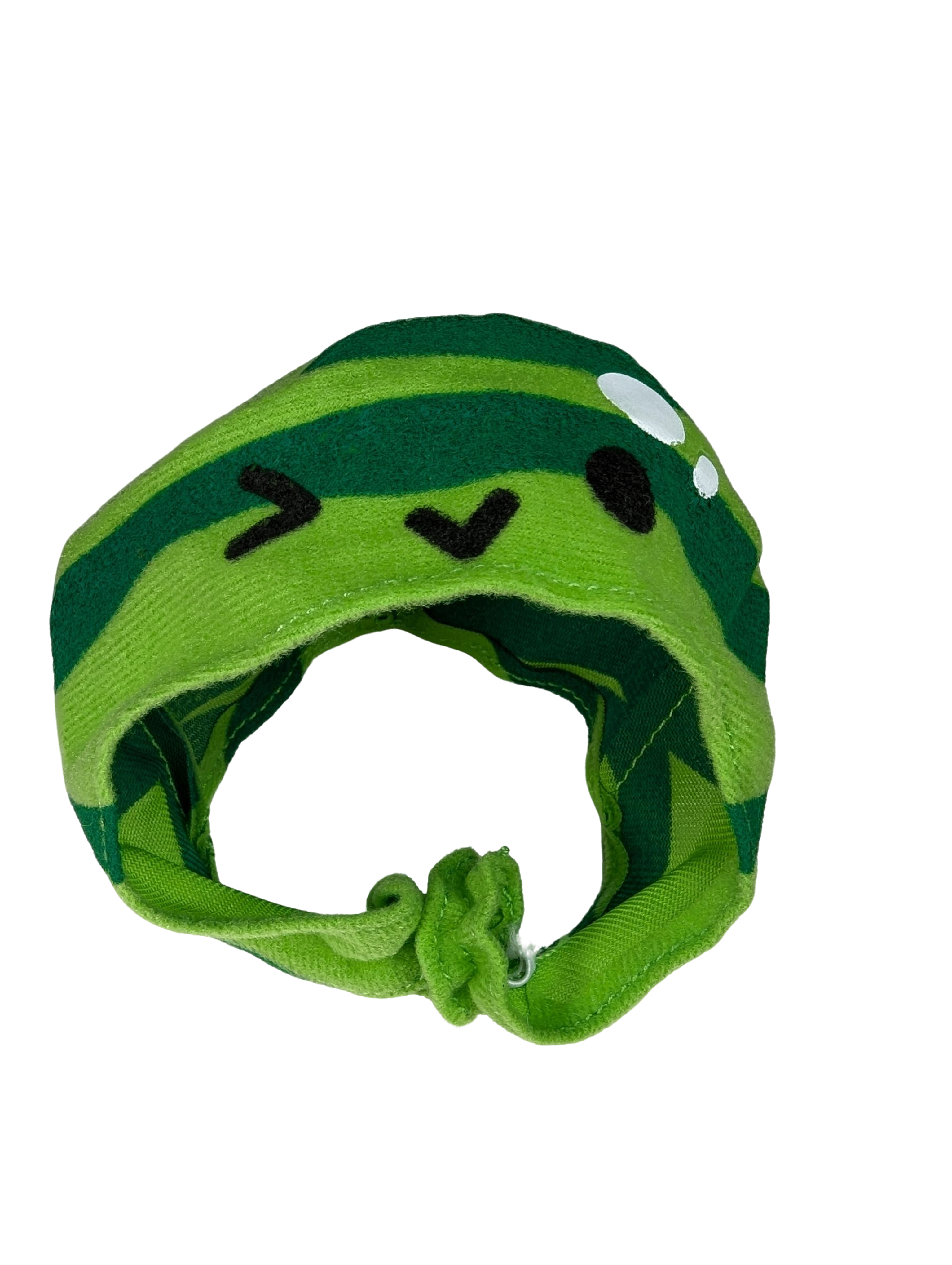 Suika Game Melon Cap for Cat