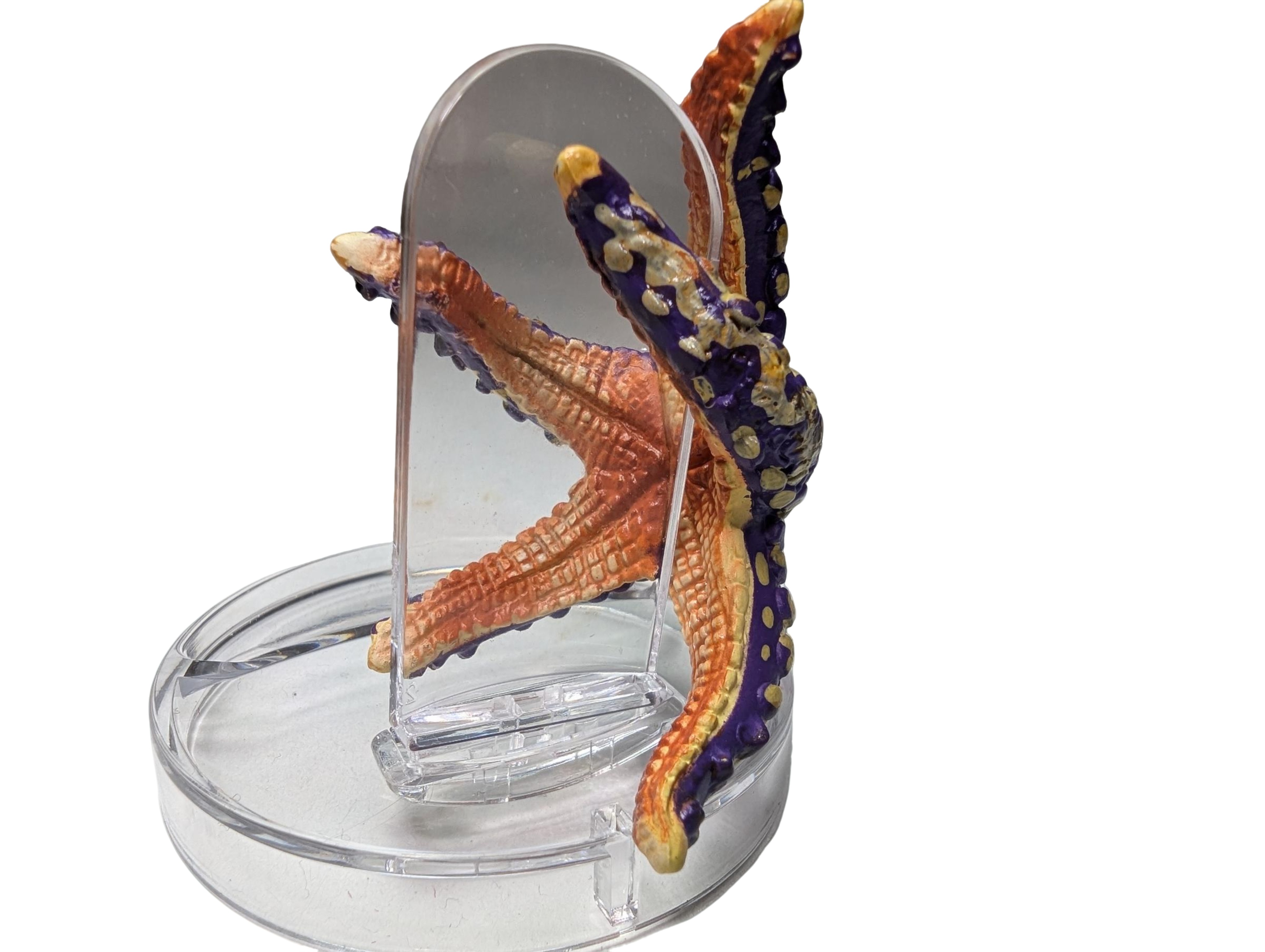 Starfish Ring