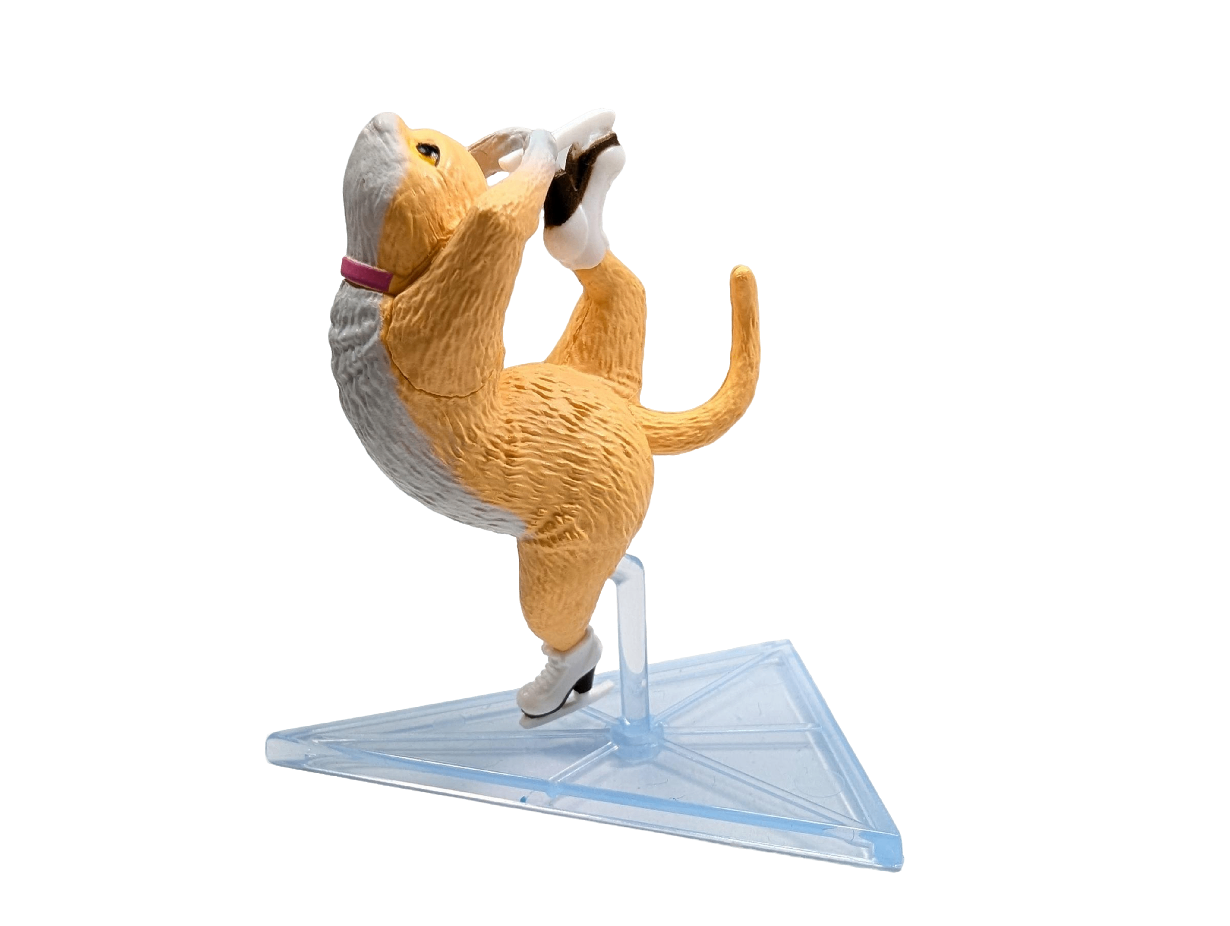 Ice Skating Cat