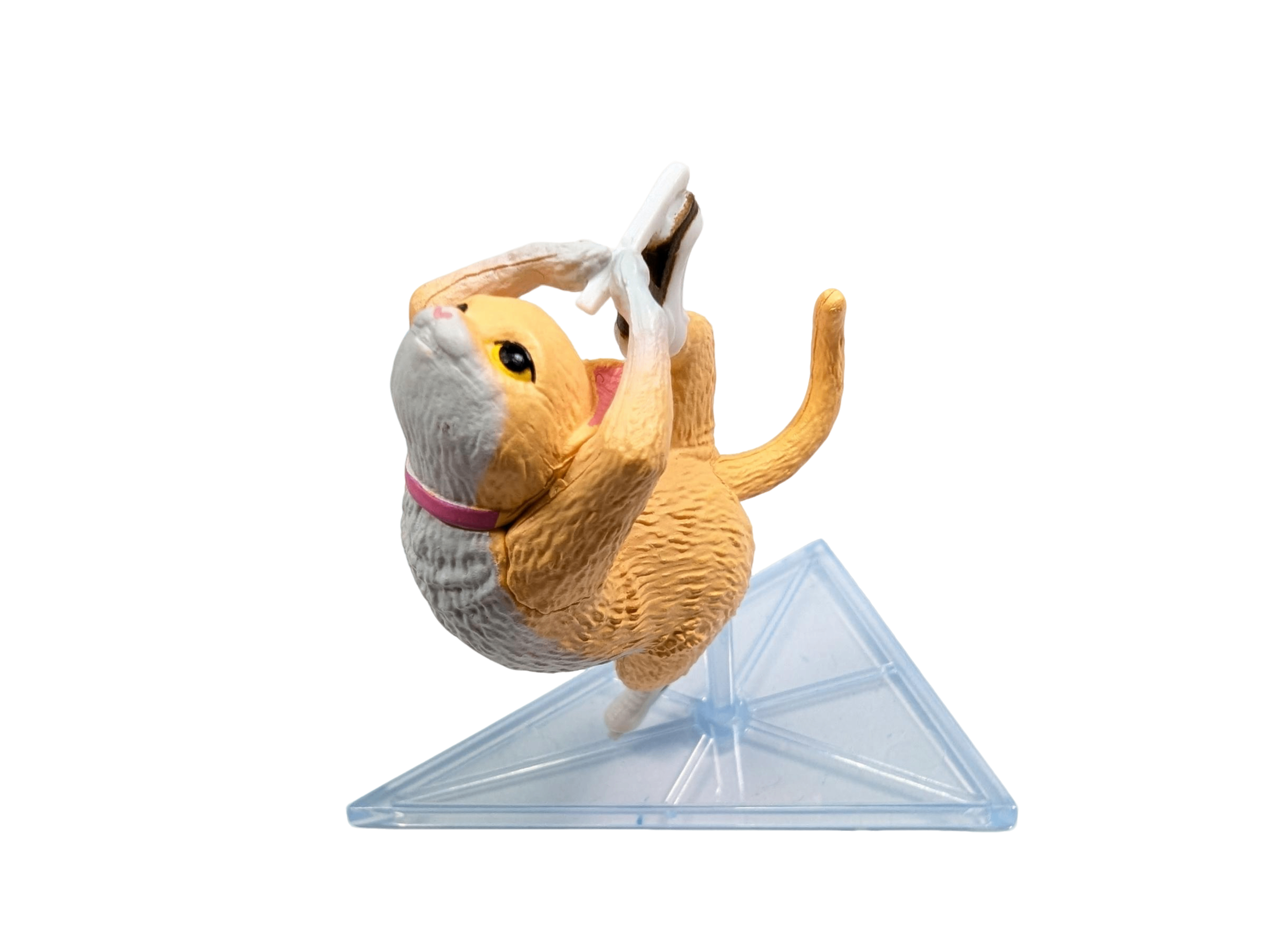 Ice Skating Cat