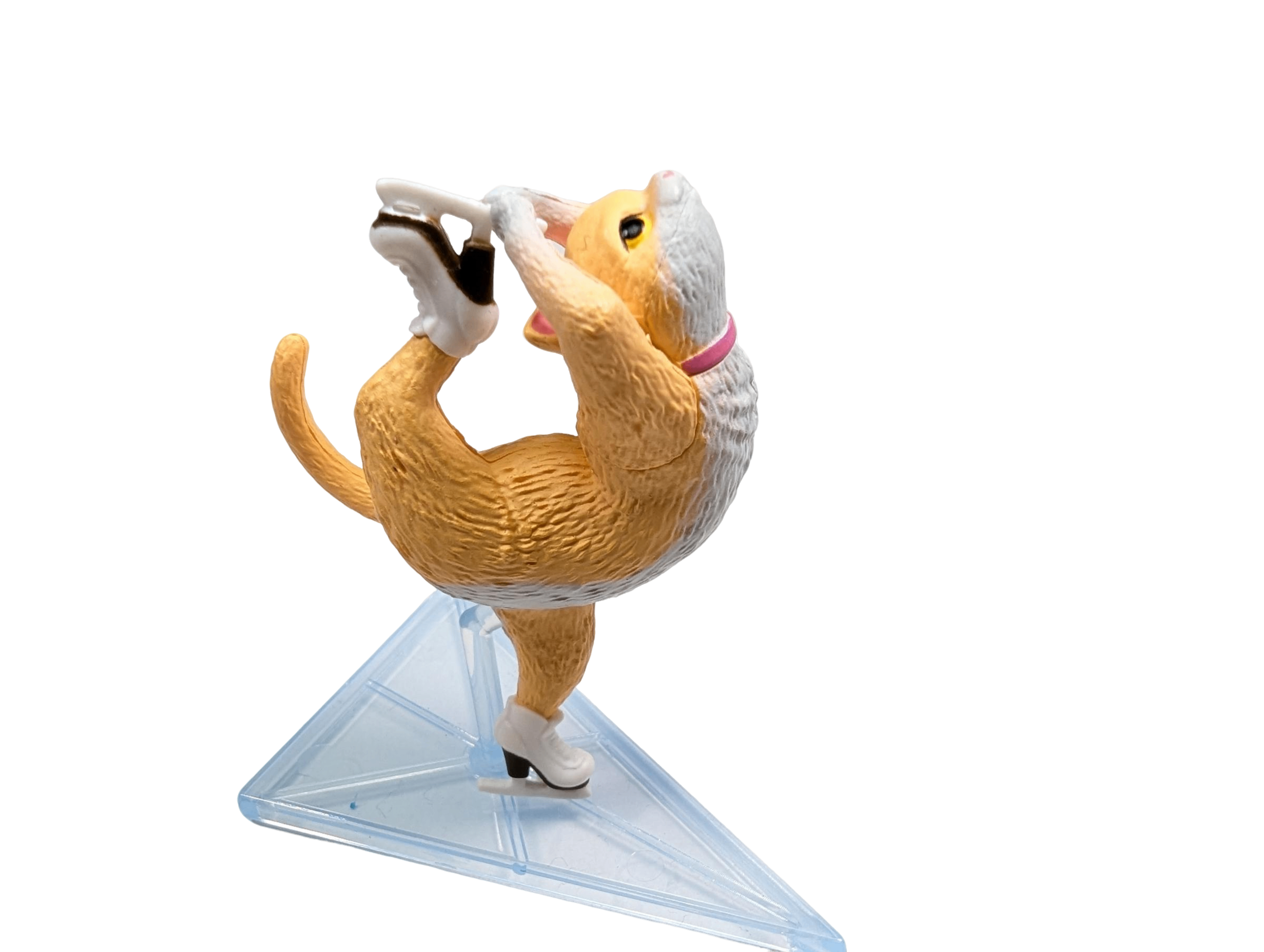 Ice Skating Cat