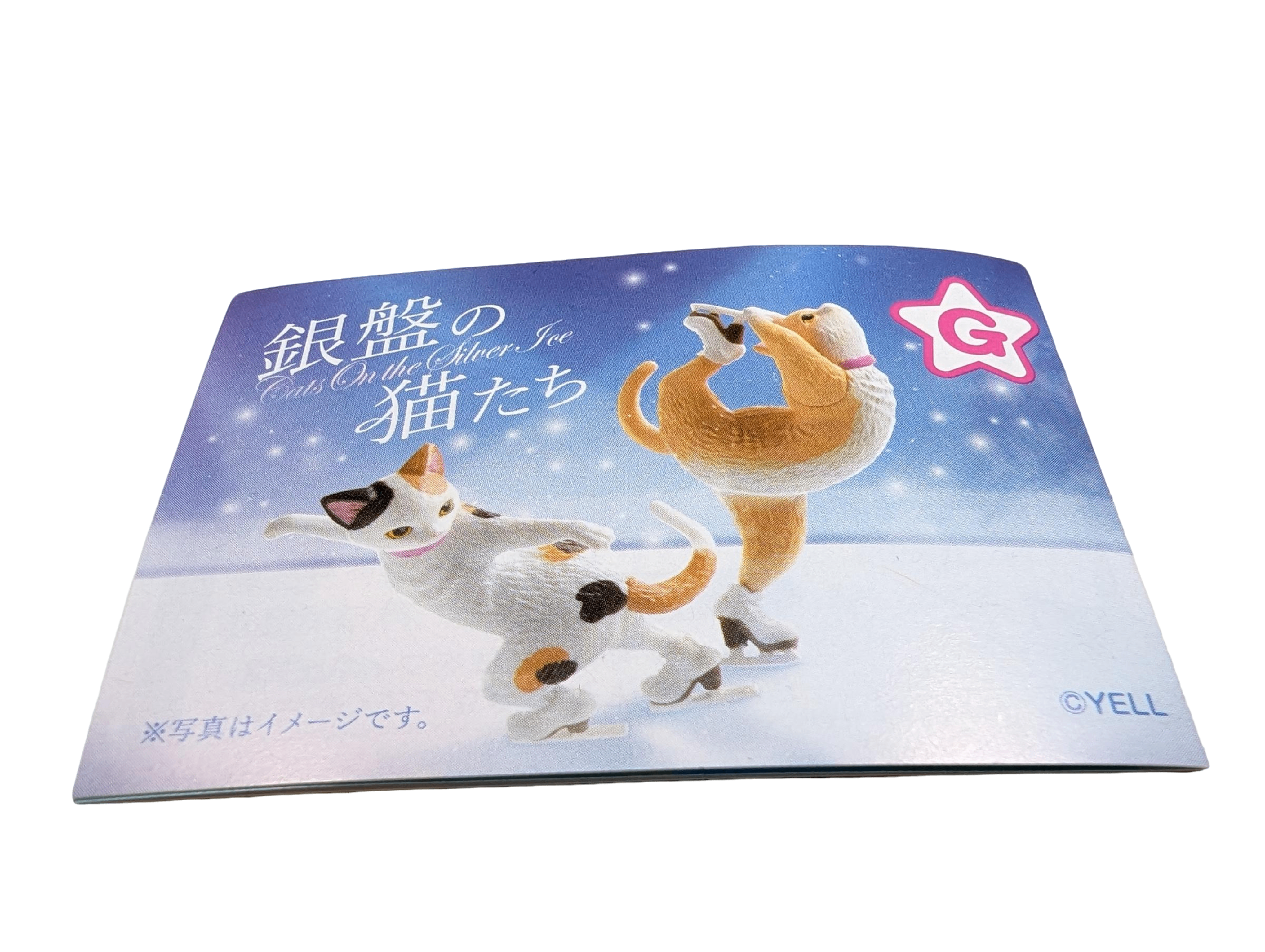 Ice Skating Cat