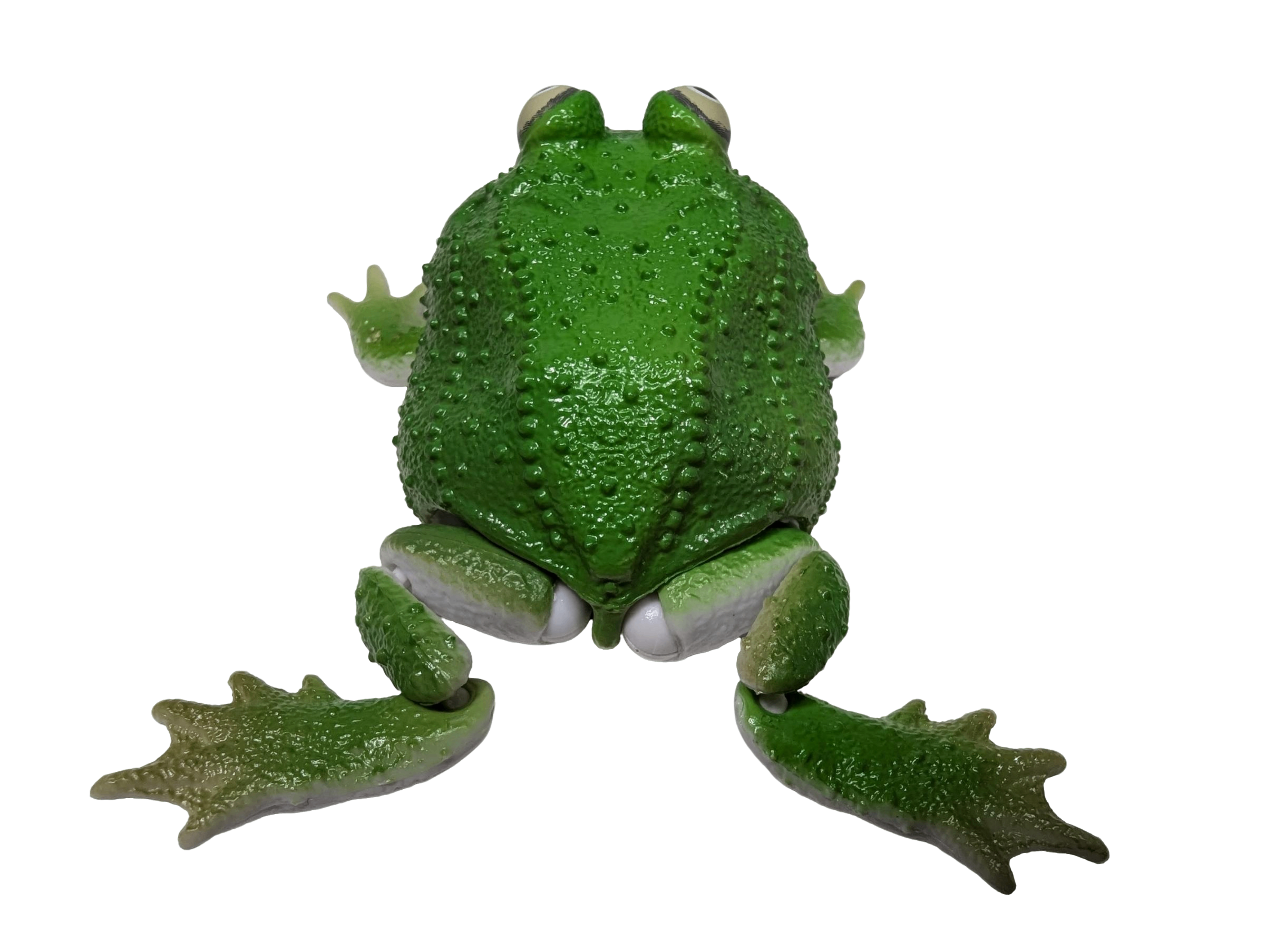 Green Frog