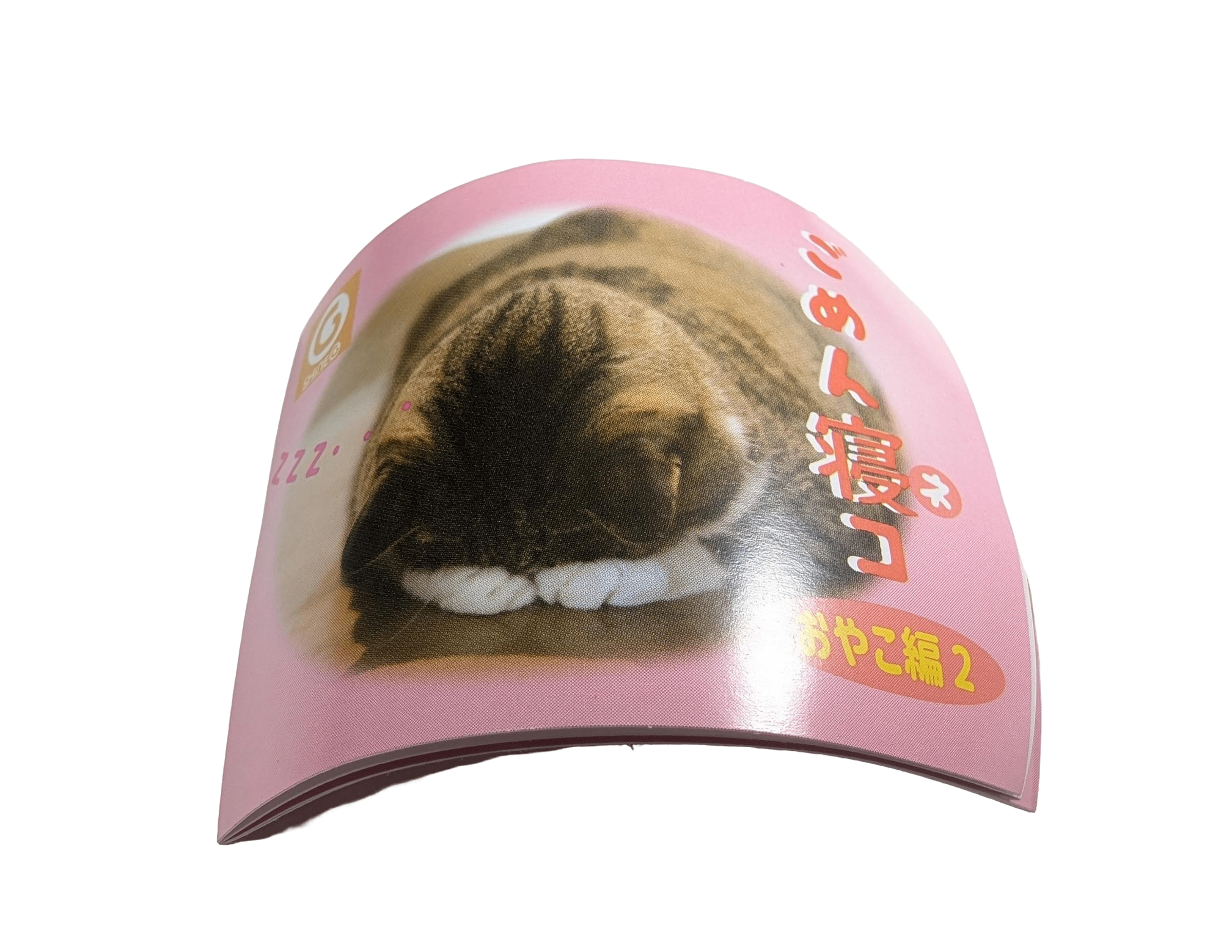 Apologizing Cat