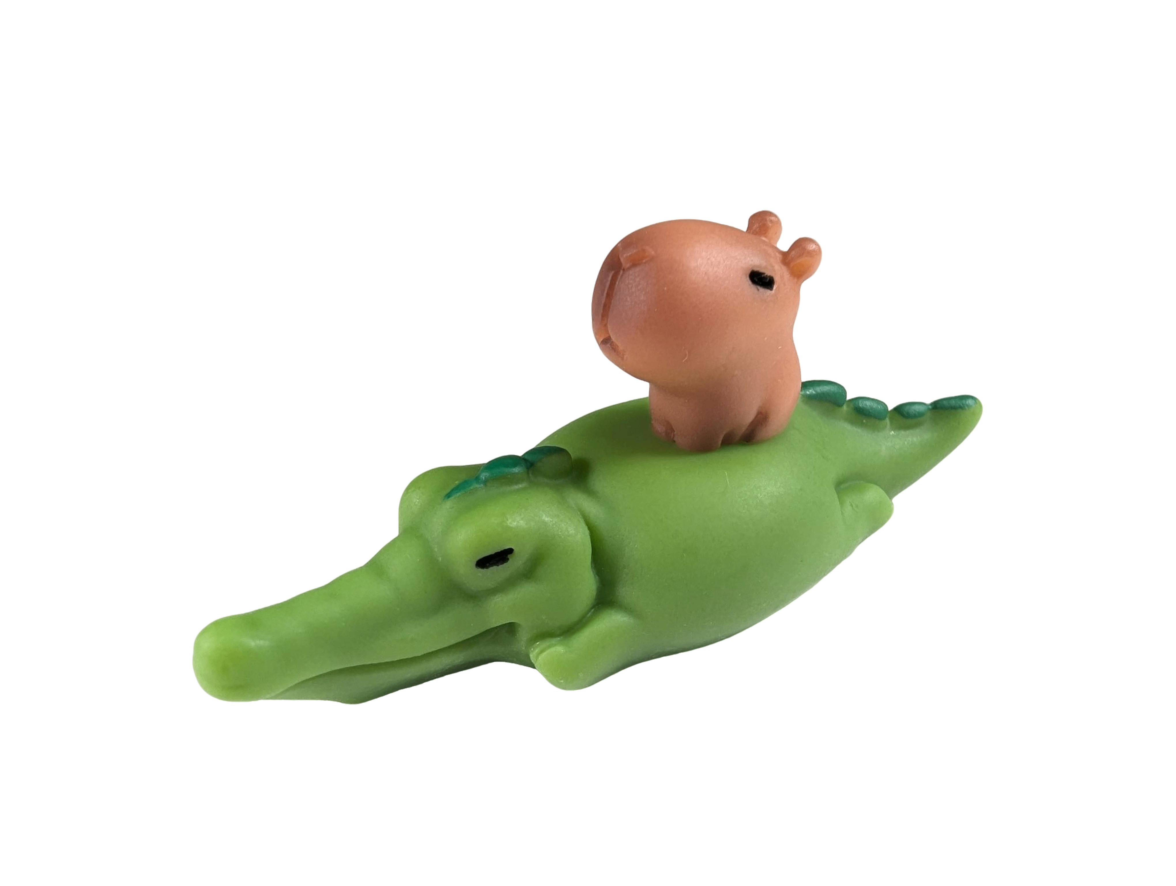 Capybara on Alligator