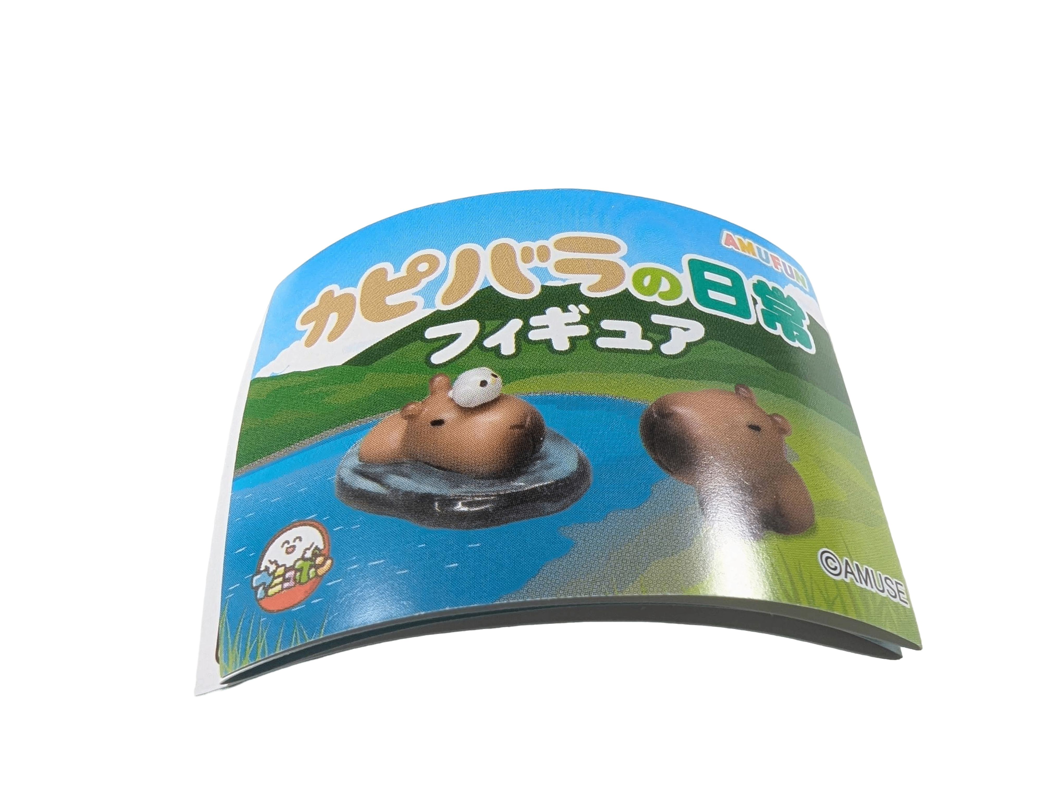 Capybara on Alligator