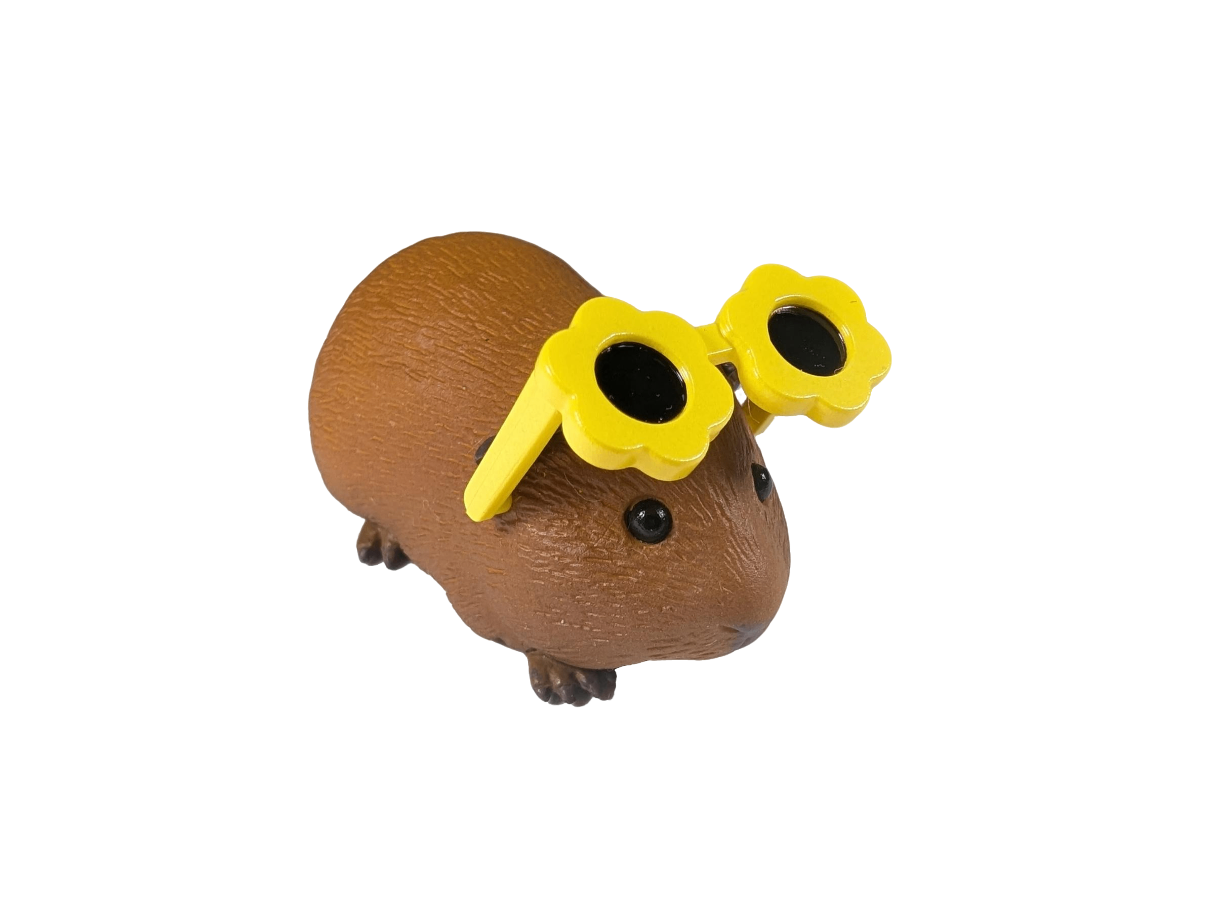 Guinea Pig with Sunnies