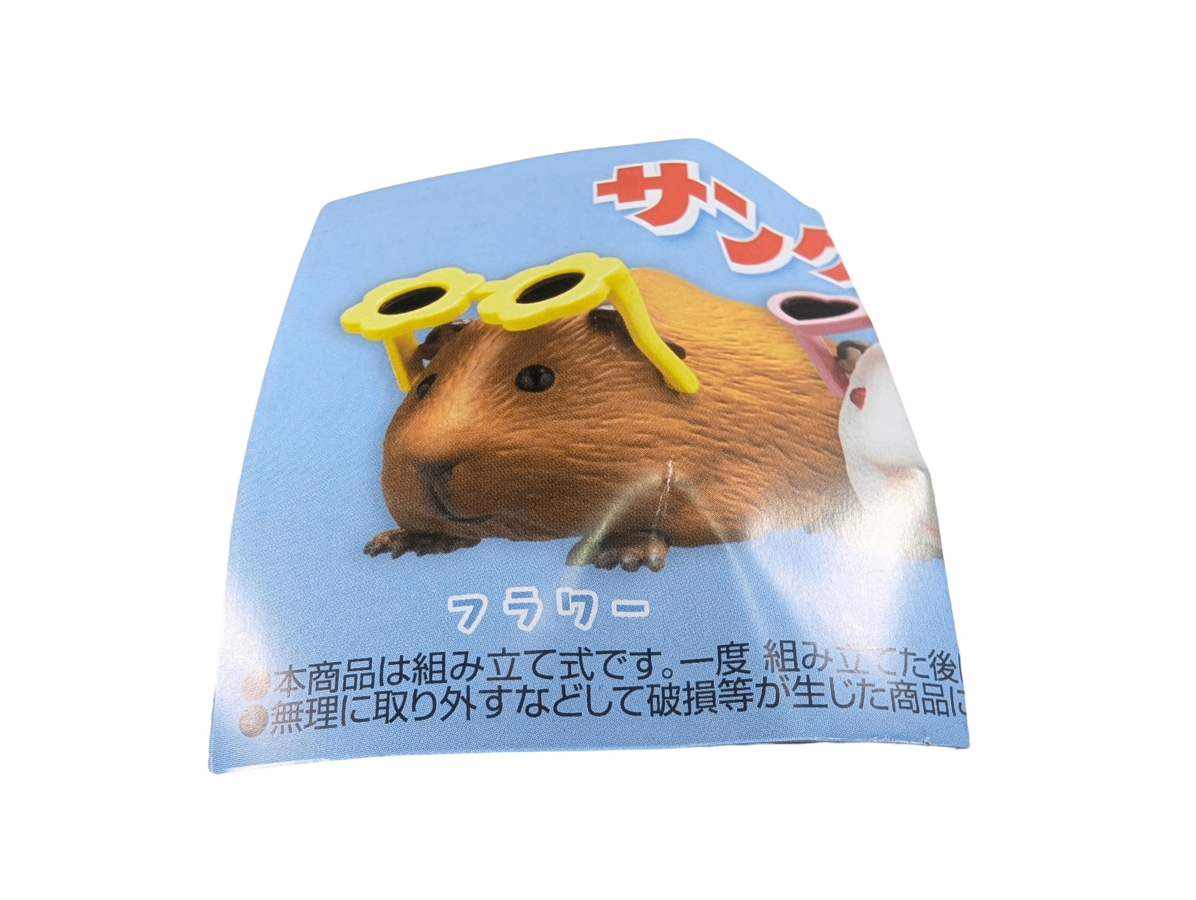 Guinea Pig with Sunnies
