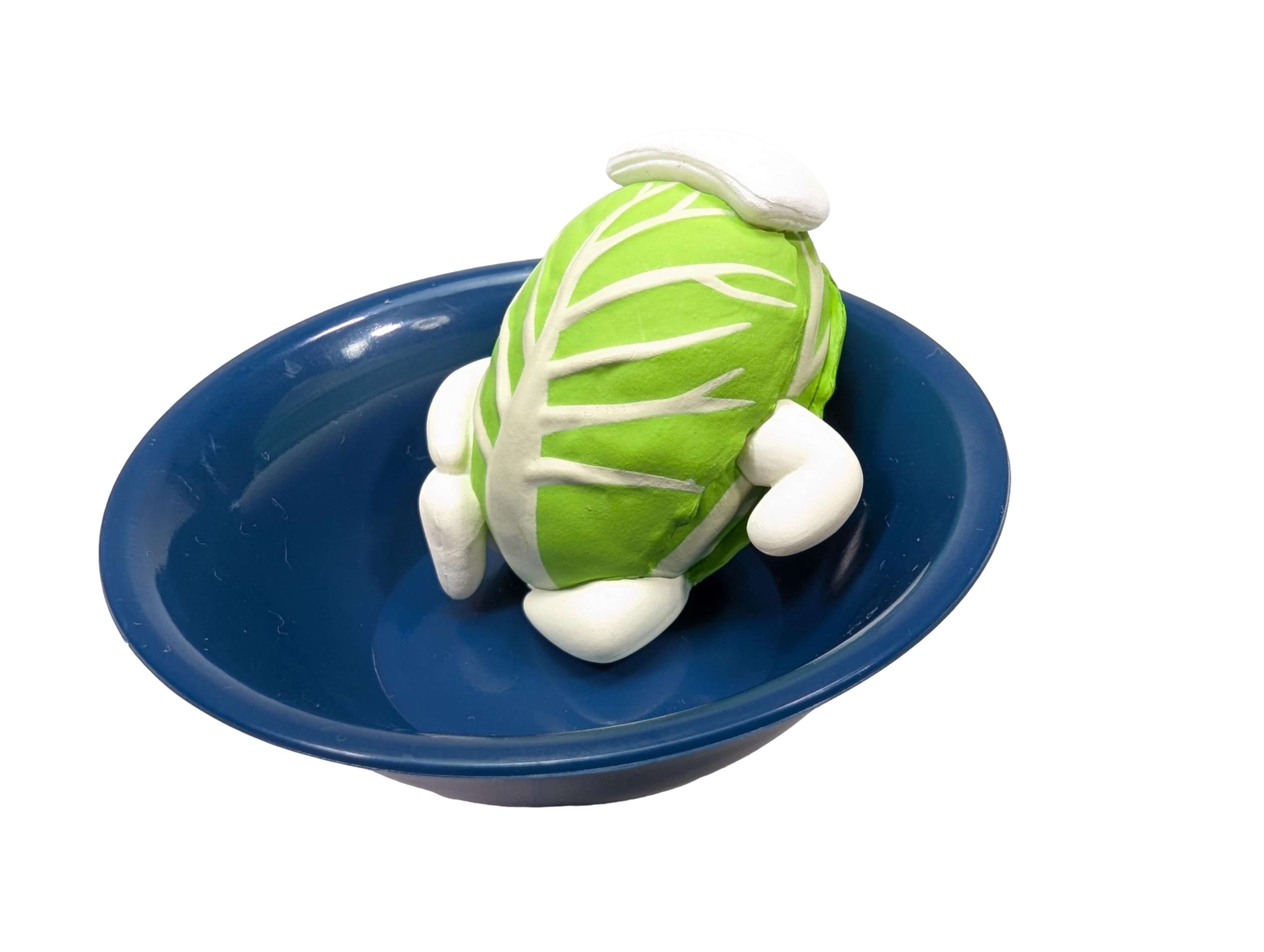Cabbage in Hot Spring