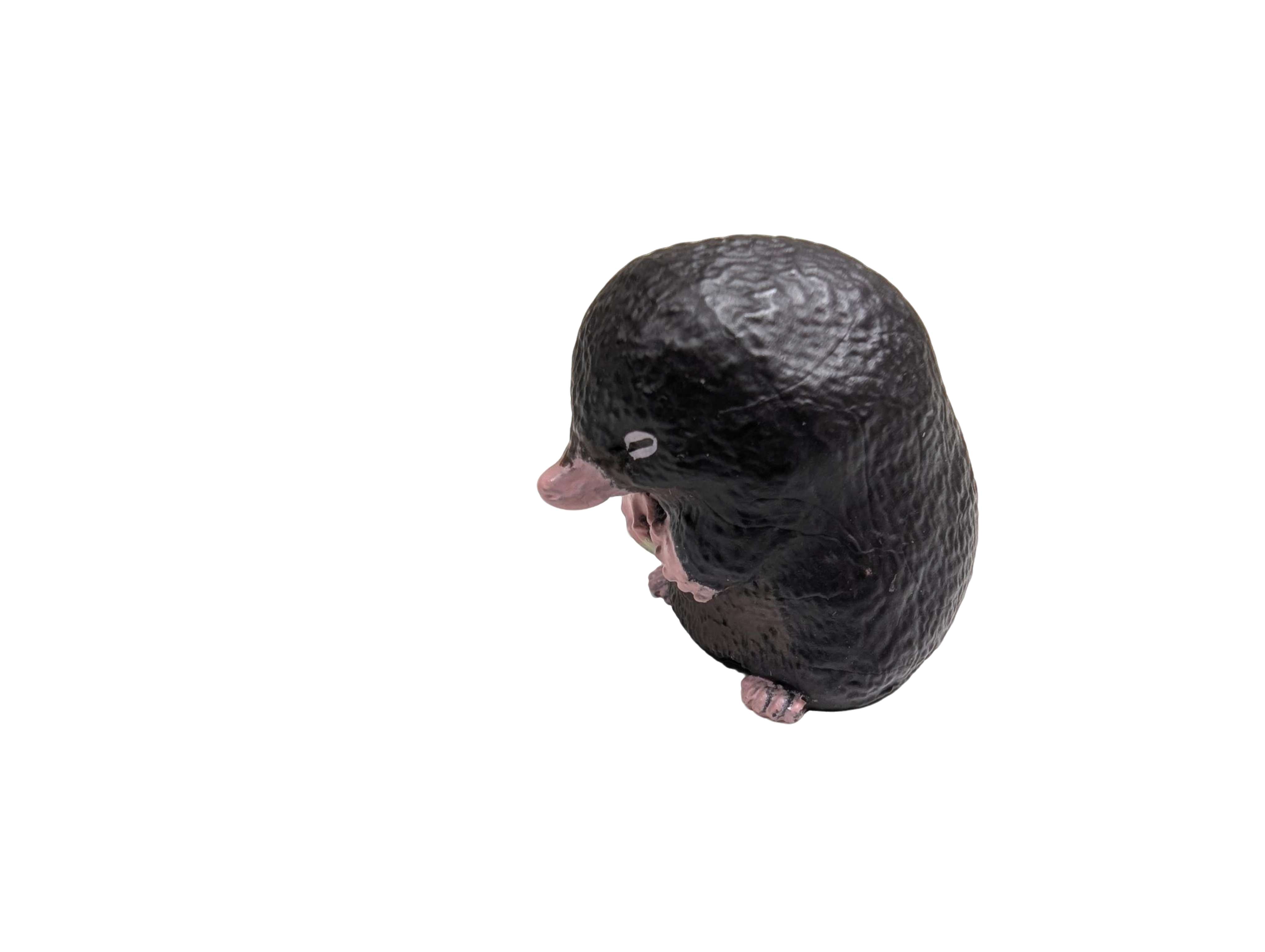Apologetic Mole