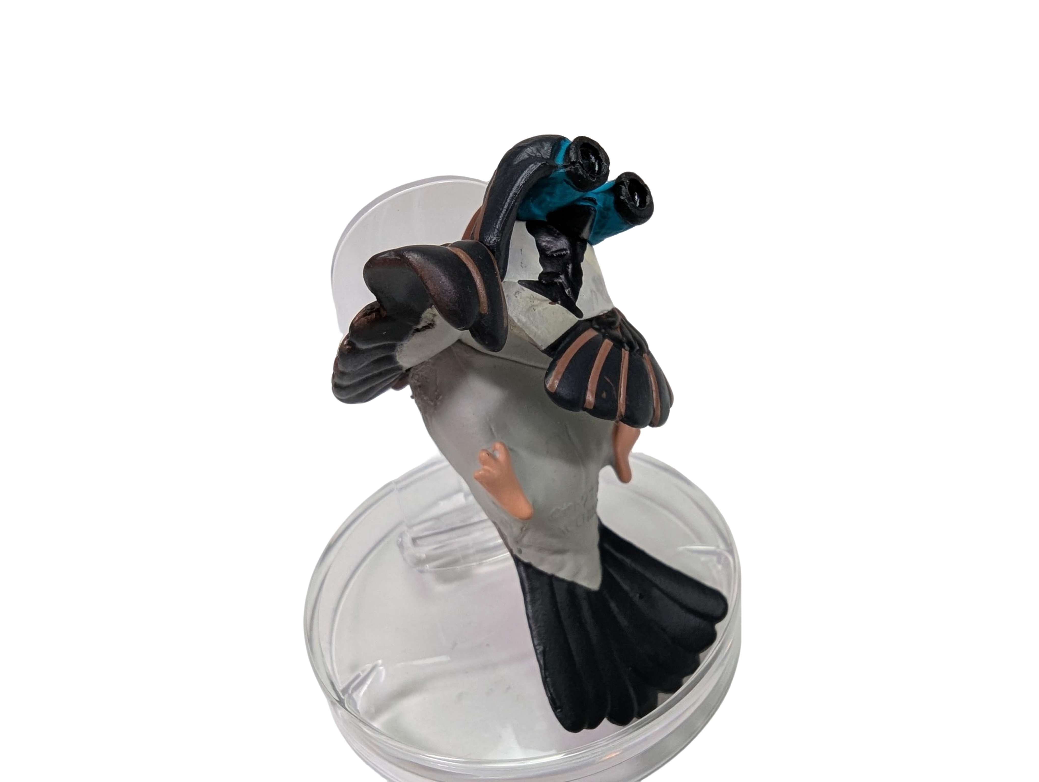 Sniper Bird with Binoculars