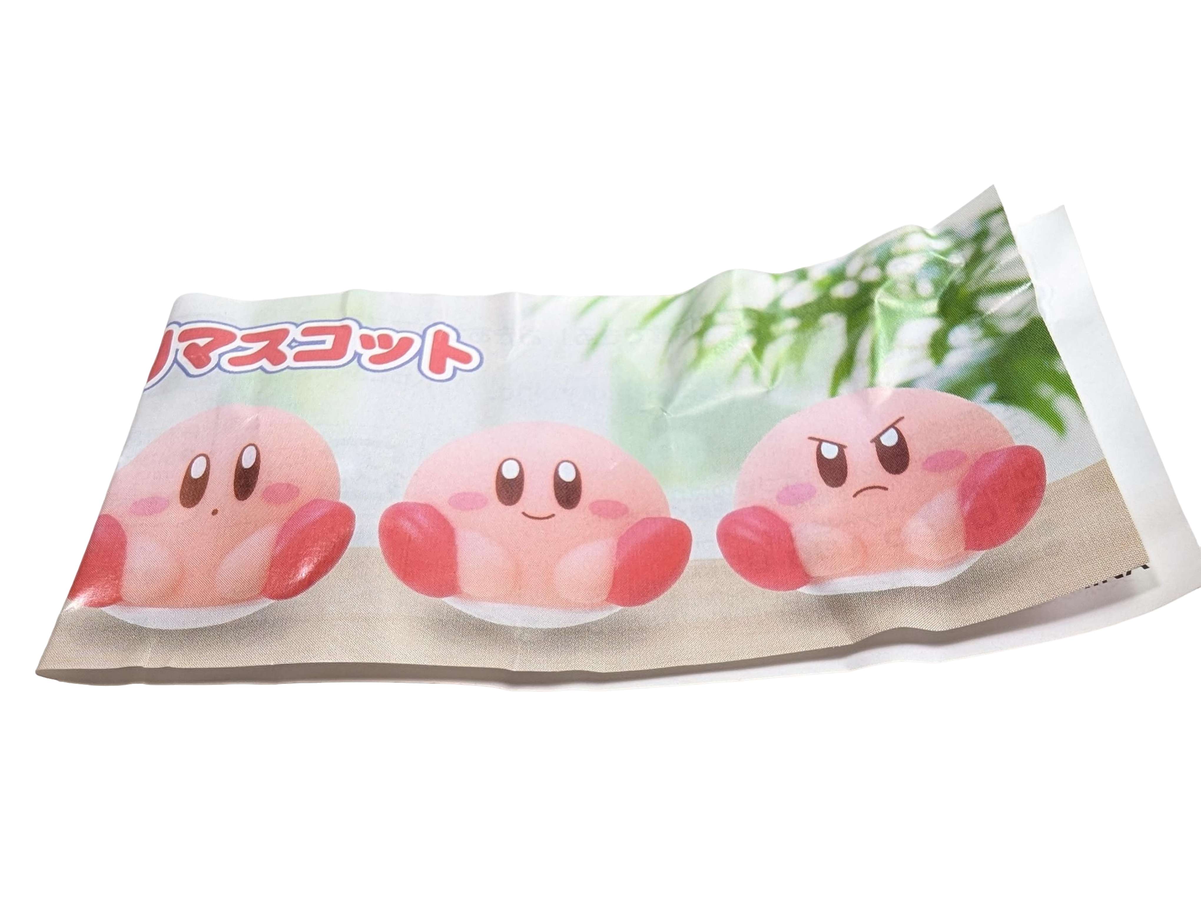 Kirby with Secret Message