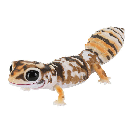 Best Leopard and Crested Gecko Series