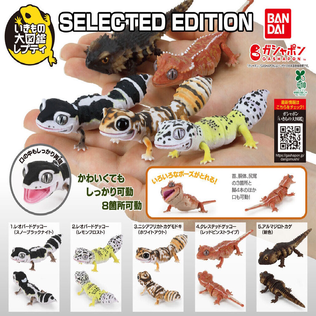 Best Leopard and Crested Gecko Series