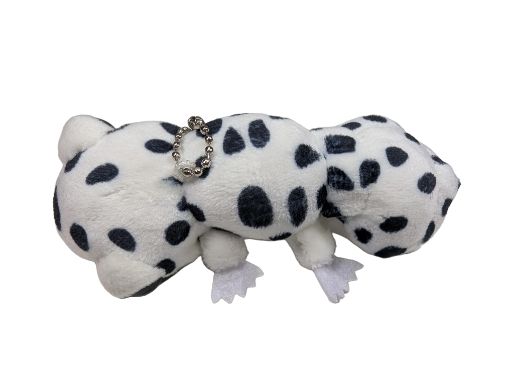 Leopard Gecko Plush (Black and White)