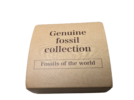 Fossil