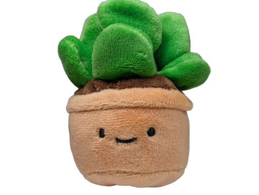Plant Plush (Niccolino)