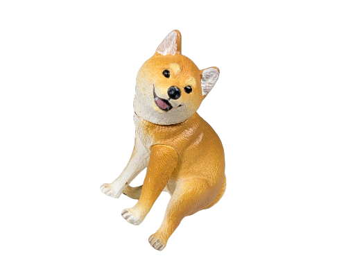 Shiba Inu Taking a Dump