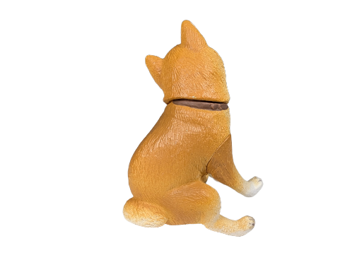 Shiba Inu Taking a Dump