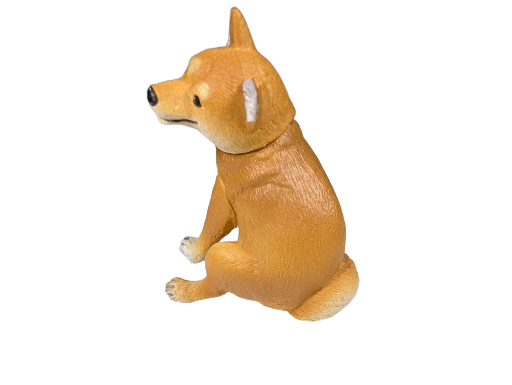Shiba Inu Taking a Dump