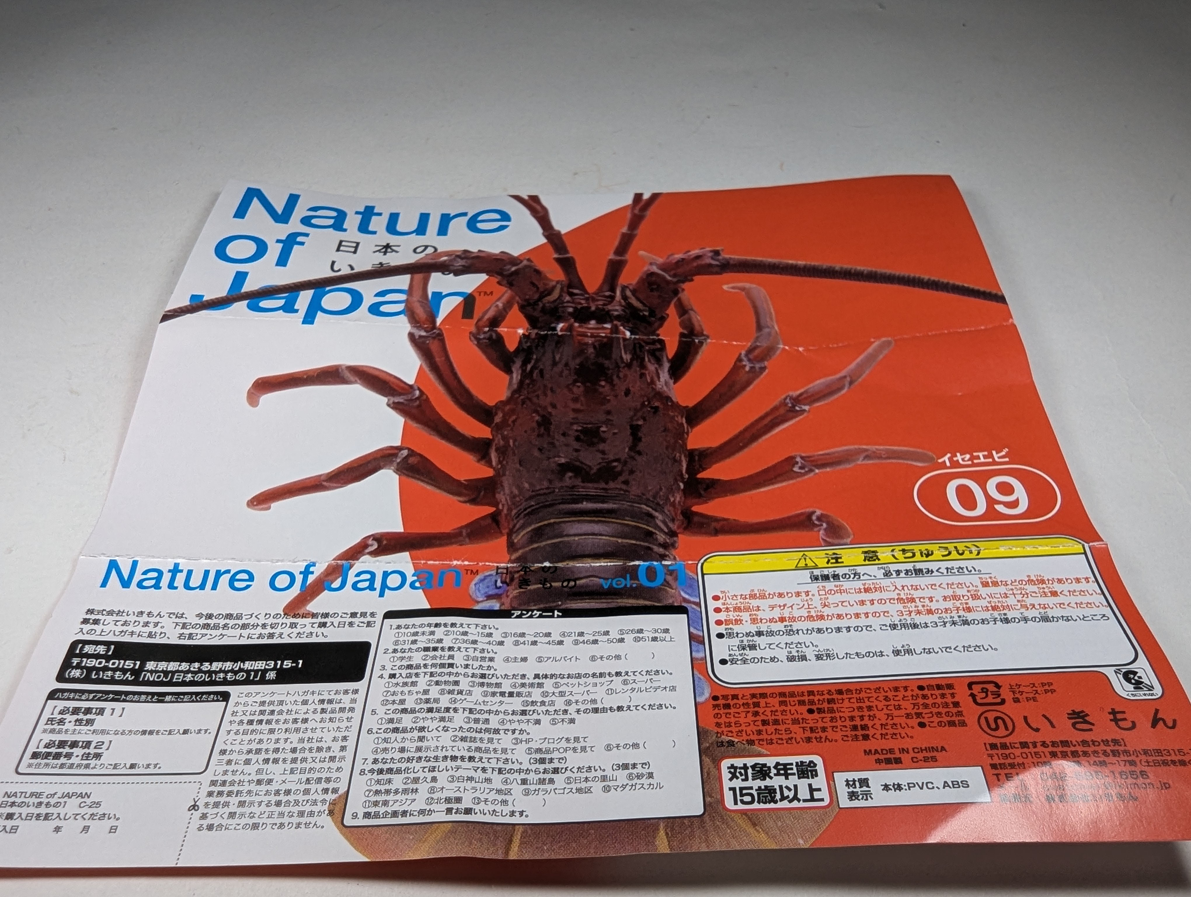 Japanese Spiny Lobster