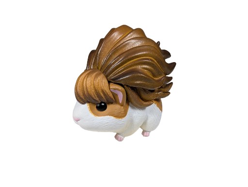 Guinea Pig with Hairdo