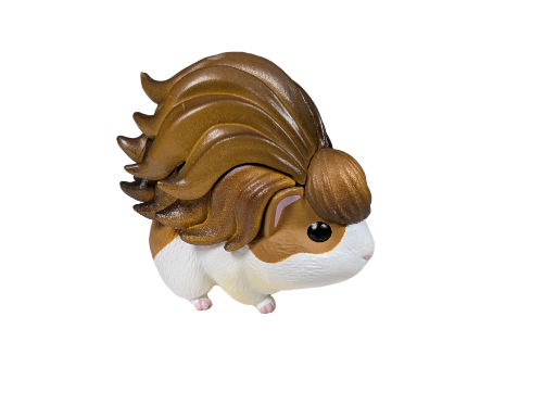 Guinea Pig with Hairdo