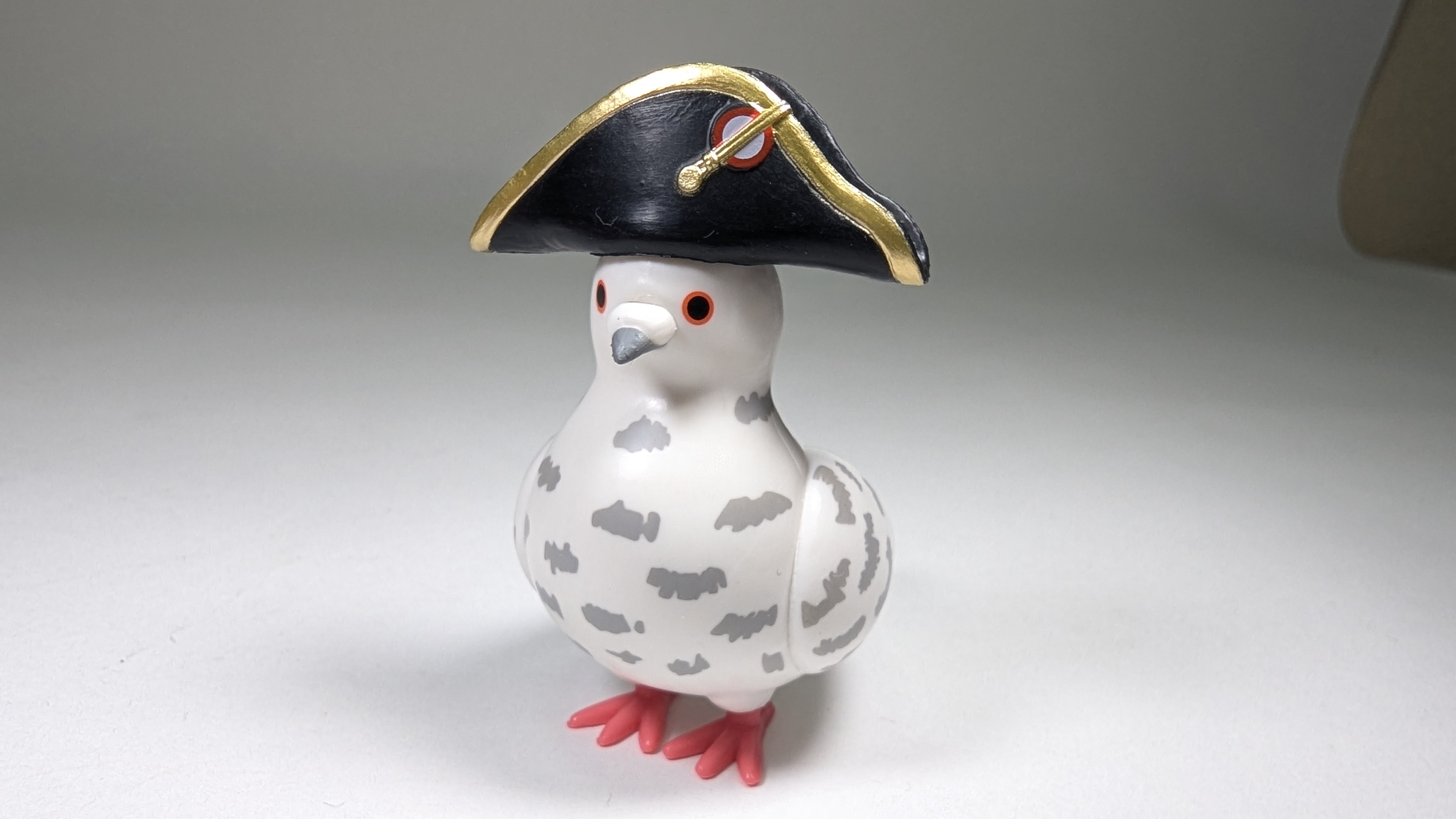 Pigeon with Sailor Hat