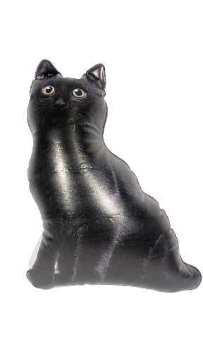 Inflatable Cat