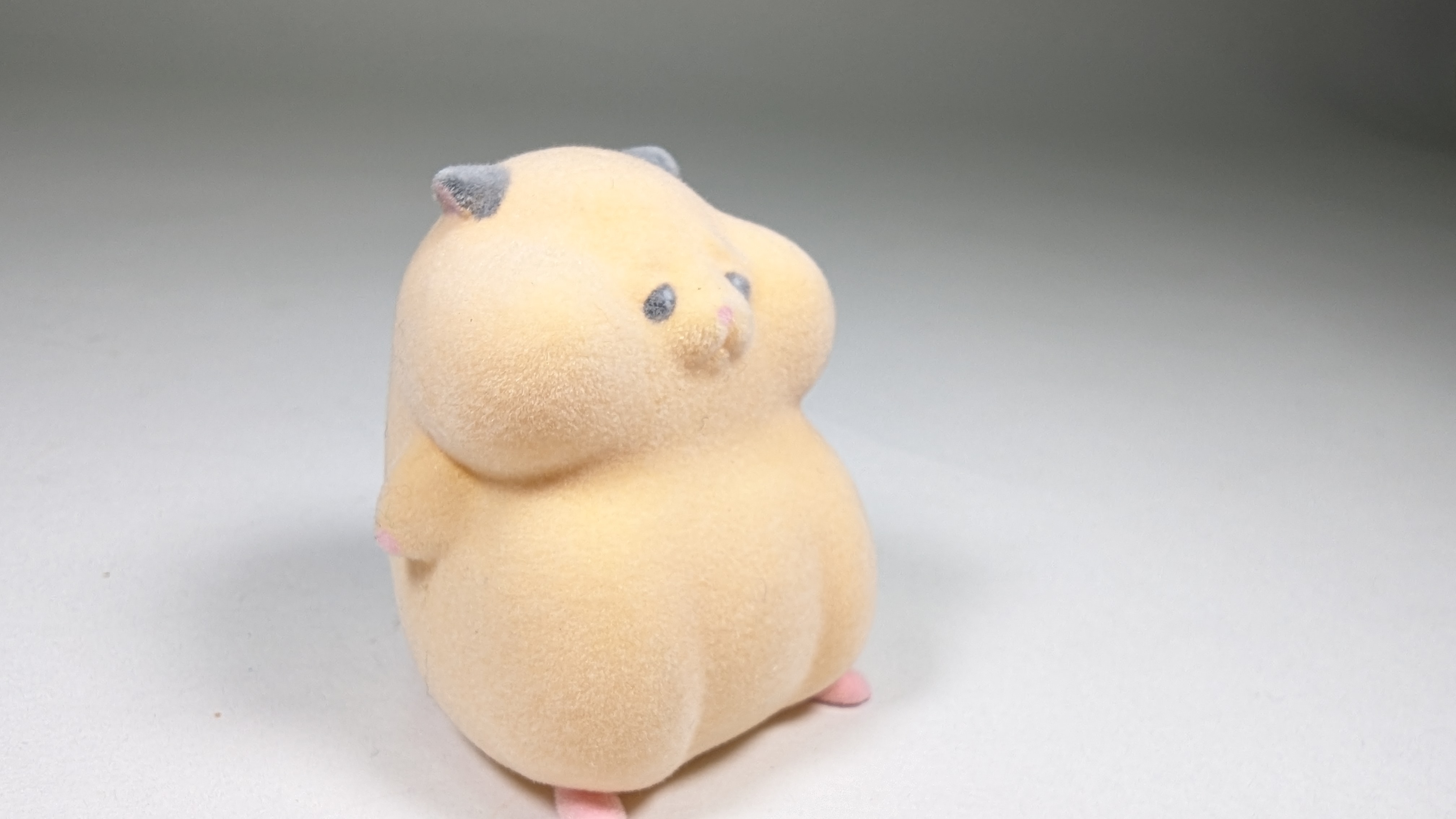 Scared Hamster