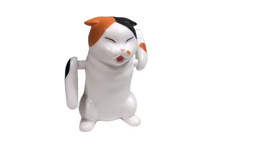 Fighting Cat
