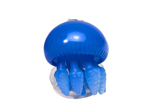 Squishy Jelly Fish