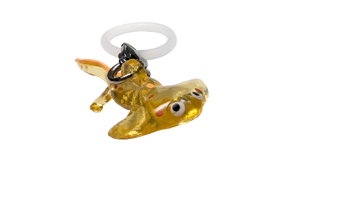 Anomalacaris Charm