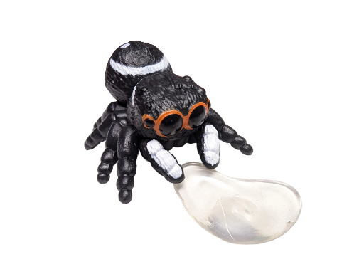 Cute Spider